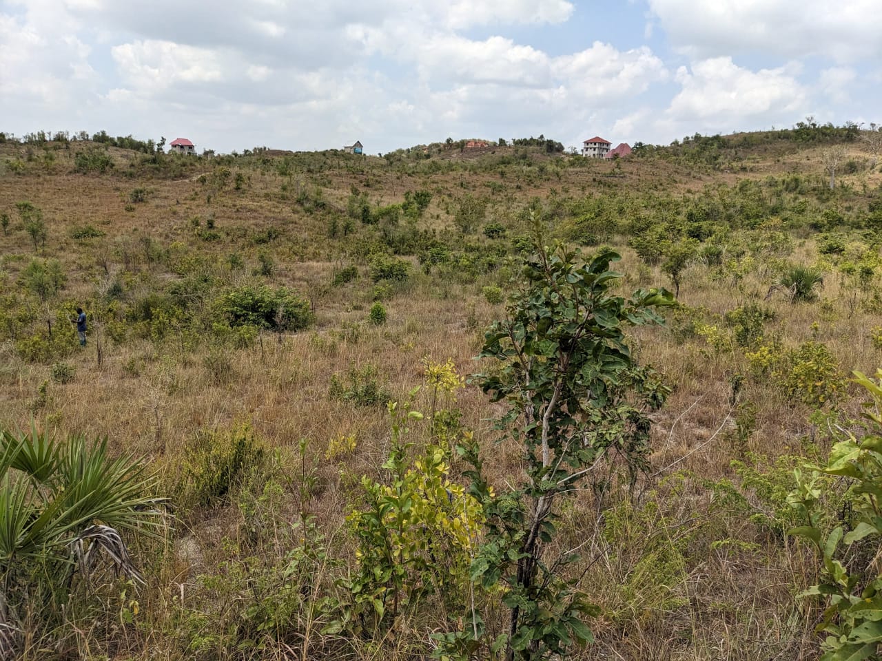 PLOTS AT NZUGUNI